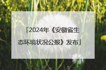 2024年《安徽省生态环境状况公报》发布