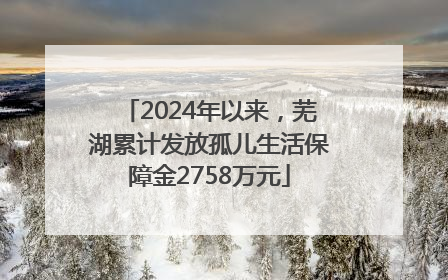 2024年以来，芜湖累计发放孤儿生活保障金2758万元