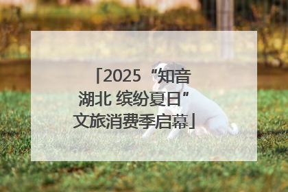 2025“知音湖北 缤纷夏日”文旅消费季启幕