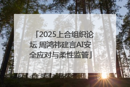 2025上合组织论坛 周鸿祎建言AI安全应对与柔性监管
