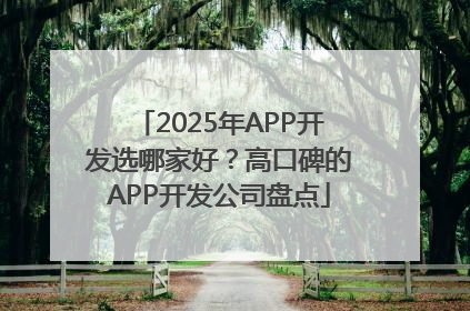 2025年APP开发选哪家好？高口碑的APP开发公司盘点