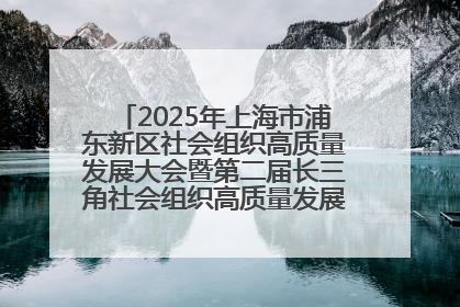 2025年上海市浦东新区社会组织高质量发展大会暨第二届长三角社会组织高质量发展峰会成功举办