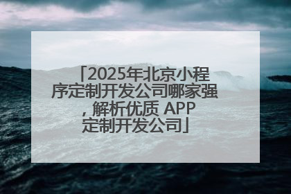 2025年北京小程序定制开发公司哪家强，解析优质 APP 定制开发公司