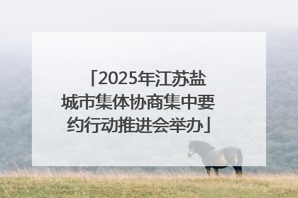 2025年江苏盐城市集体协商集中要约行动推进会举办