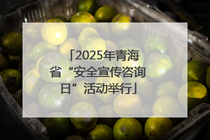 2025年青海省“安全宣传咨询日”活动举行