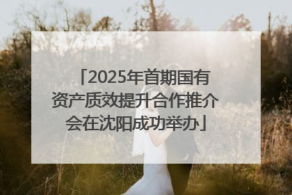 2025年首期国有资产质效提升合作推介会在沈阳成功举办