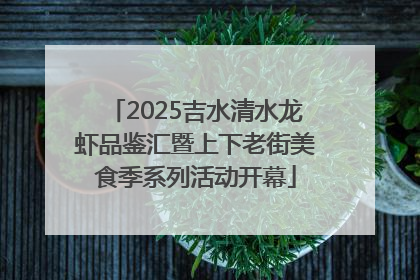 2025吉水清水龙虾品鉴汇暨上下老街美食季系列活动开幕