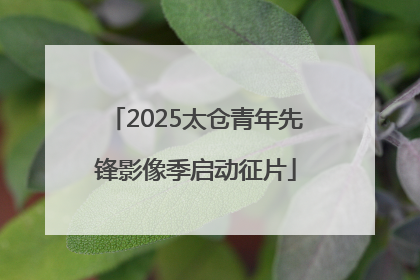 2025太仓青年先锋影像季启动征片