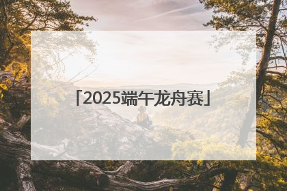 2025端午龙舟赛