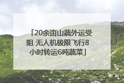 20余亩山蔬外运受阻 无人机极限飞行8小时转运6吨蔬菜