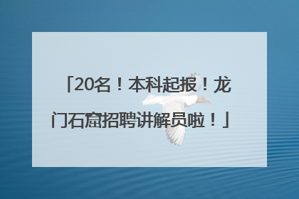 20名！本科起报！龙门石窟招聘讲解员啦！