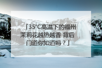 35℃高温下的福州茉莉花越热越香 背后门道你知道吗？