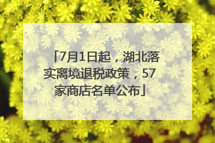 7月1日起，湖北落实离境退税政策，57家商店名单公布