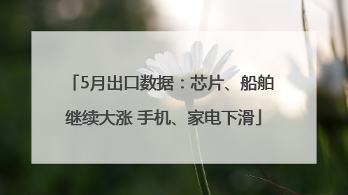 5月出口数据：芯片、船舶继续大涨 手机、家电下滑