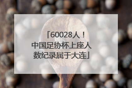 60028人！中国足协杯上座人数纪录属于大连