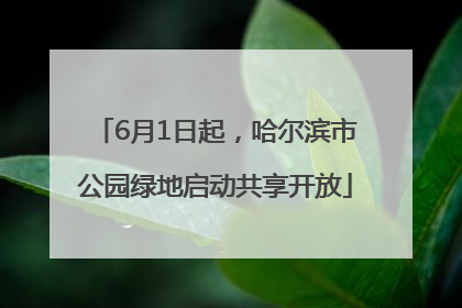 6月1日起，哈尔滨市公园绿地启动共享开放