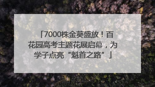 7000株金葵盛放！百花园高考主题花展启幕，为学子点亮“魁首之路”