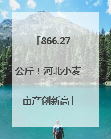 866.27公斤！河北小麦亩产创新高