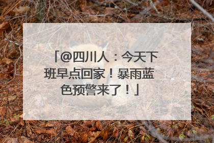 @四川人：今天下班早点回家！暴雨蓝色预警来了！