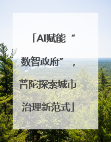 AI赋能“数智政府”，普陀探索城市治理新范式