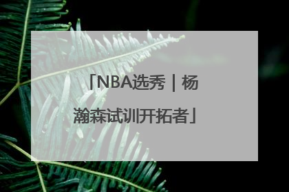 NBA选秀｜杨瀚森试训开拓者