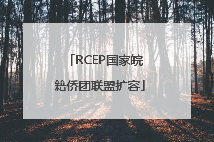 RCEP国家皖籍侨团联盟扩容